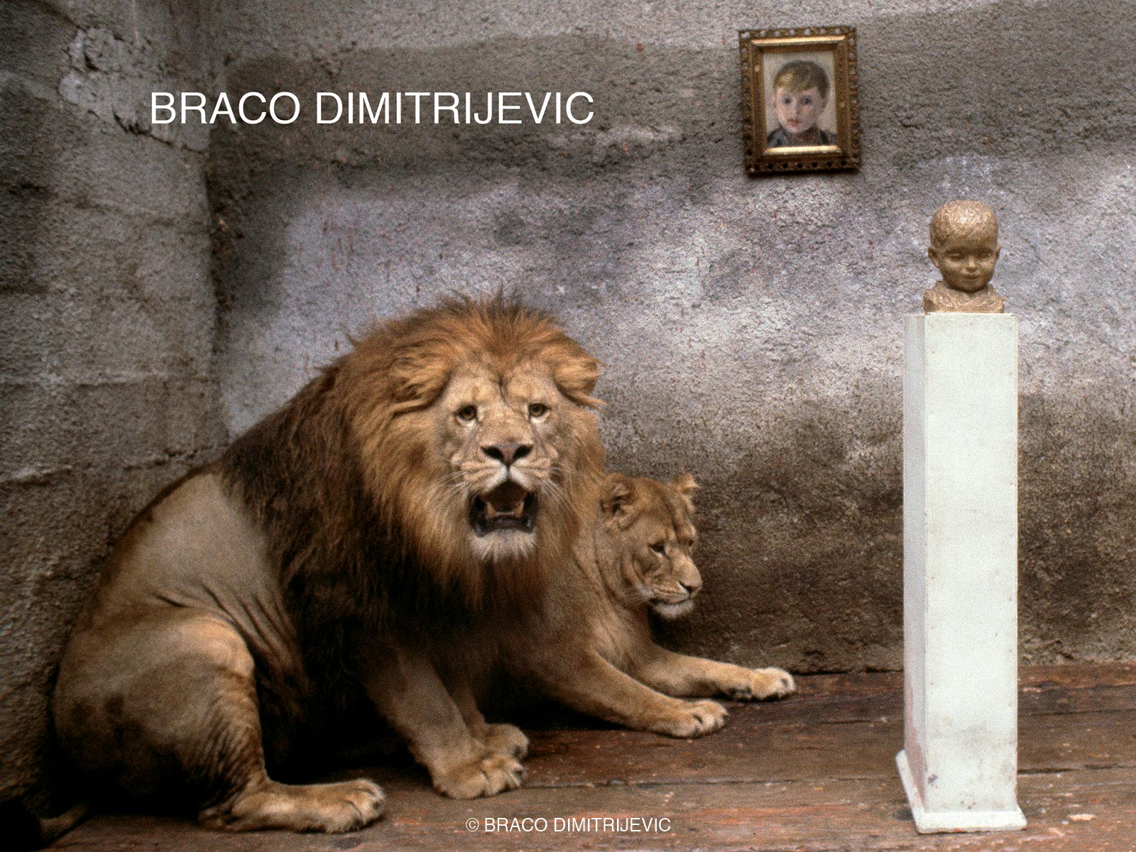 Braco Dimitrijević