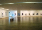 Selected Solo Exhibitions